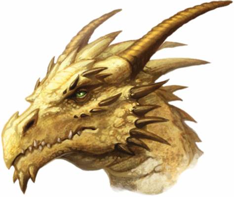 Dragon-Gold